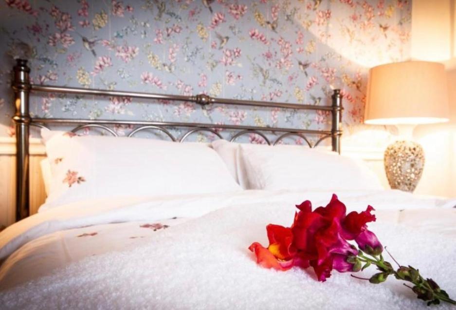 The Blue Cat Hotel Kenmare Buitenkant foto